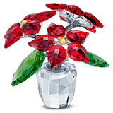 Swarovski Crystal Figurine Joyful Poinsettia -5698502