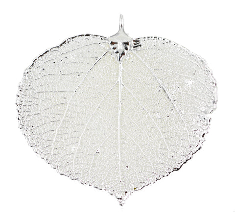 Real Leaf PENDANT ASPEN Dipped in Sterling Silver Genuine Leaf