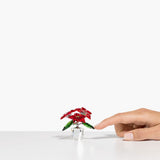 Swarovski Crystal Figurine Joyful Poinsettia -5698502