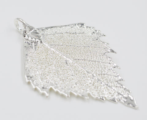 Real Leaf PENDANT BIRCH Dipped in Silver Genuine Leaf