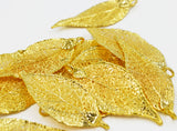 Real Leaf PENDANT EVERGREEN Dipped in 24K Yellow Gold Genuine Leaf