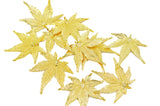 Real Leaf PENDANT Japanese Maple in 24K Yellow Gold Genuine Leaf