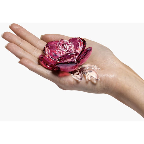 Swarovski Crystal Living Figurine Flower PEONY -5493711 – Zhannel