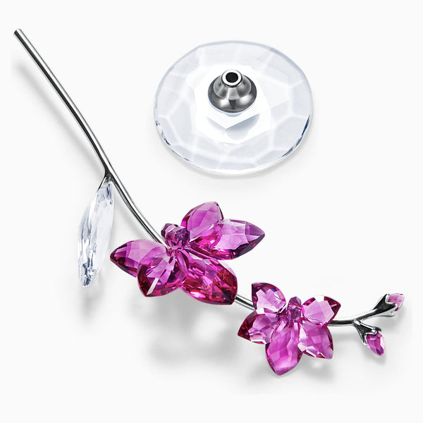 Swarovski Flower Figurine FLOWER DREAMS - ORCHID, Large