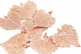 Real Leaf PENDANT with Chain COTTONWOOD Rose Gold Dipped Genuine Leaf Necklace