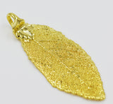 Real Leaf PENDANT with Chain ELM Dipped in 24K Yellow Gold Genuine Leaf Necklace