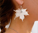 Real Leaf Hook Drop EARRINGS Sugar Maple in Sterling Silver Genuine Leaf