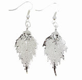 Real Leaf Hook Drop EARRINGS BIRCH Leaf Dipped in Silver
