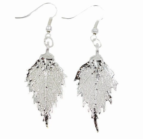 Real Leaf Hook Drop EARRINGS BIRCH Leaf Dipped in Silver