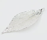 Real Leaf PENDANT EVERGREEN Dipped in Silver Genuine Leaf
