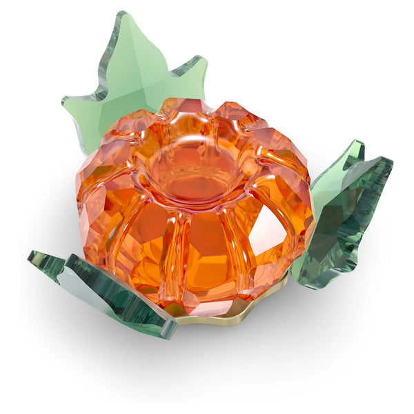 Swarovski Garden Tales Pumpkin Magnet Decoration, Large- 5594492