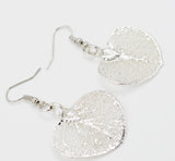 Real Leaf Hook Drop EARRINGS EUCALYPTUS Silver Dipped Genuine Leaf