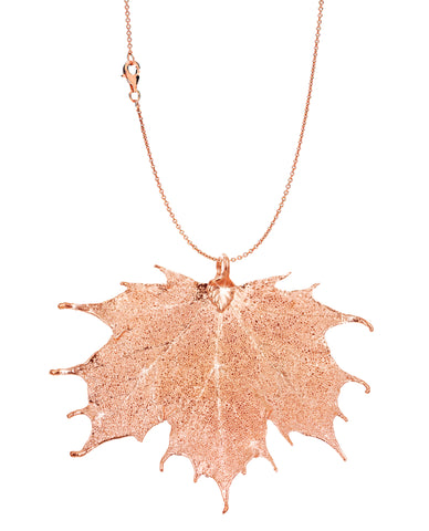 Real Leaf PENDANT with Chain Sugar Maple in Rose Gold Genuine Leaf Necklace