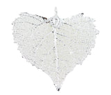 Real Leaf PENDANT with chain COTTONWOOD Dipped in Silver Genuine Leaf Necklace