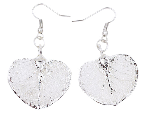 Real Leaf Hook Drop EARRINGS EUCALYPTUS Silver Dipped Genuine Leaf