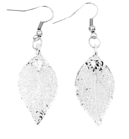 Real Leaf Hook Drop EARRINGS EVERGREEN Dipped in Silver Genuine Leaf