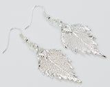 Real Leaf Hook Drop EARRINGS BIRCH Leaf Dipped in Silver