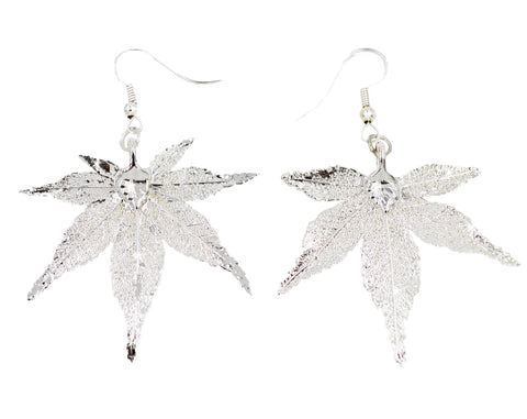 Real Leaf Hook Drop Earrings Japanese Maple Dipped in Silver Genuine Leaf