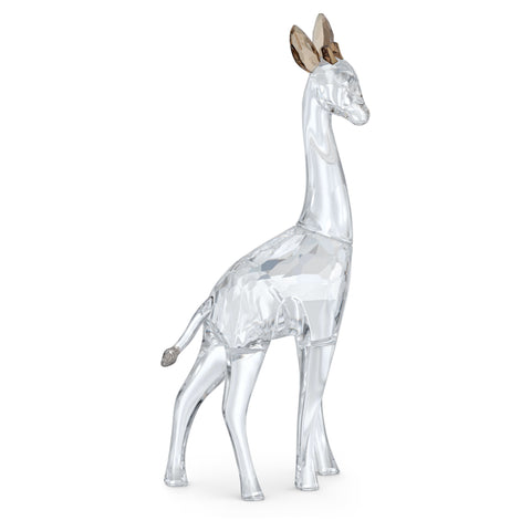 Swarovski African Sunset Giraffe Nohea -5557858