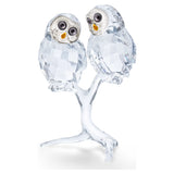 Swarovski Feathered Beauties Owl Couple -5493722