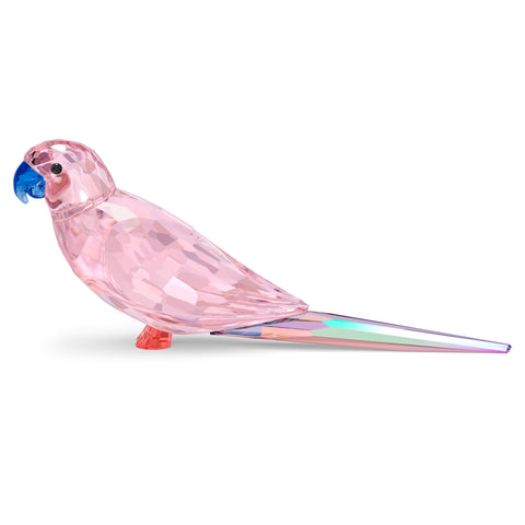 Swarovski Jungle Beats Pink Parakeet Cha Cha -5557848