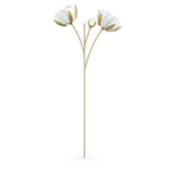 Swarovski Garden Tales Cotton Stalk, White -5586699