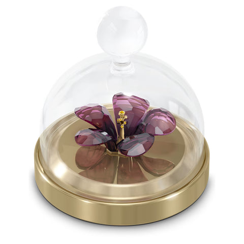 Swarovski Garden Tales Hibiscus Bell Jar Small -5619224