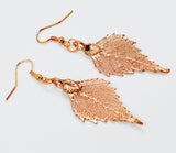 Real Leaf Hook Drop EARRINGS BIRCH Leaf Dipped in Rose Gold
