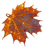 Real Leaf PENDANT Sugar Maple in Copper Genuine Leaf - Zhannel
 - 2