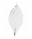 Real Leaf PENDANT with Chain EVERGREEN in Silver Genuine Leaf Necklace