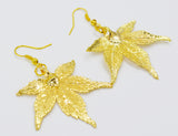 Real Leaf Hook Drop EARRINGS Japanese Maple Dipped in 24K Yellow Gold Genuine Leaf