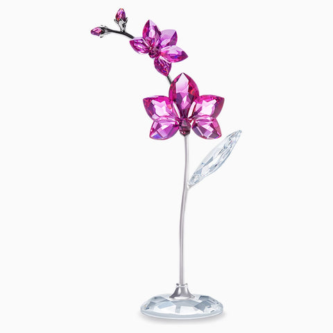Swarovski Crystal Flower Figurine FLOWER DREAMS - ORCHID, Large -5490755