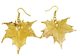 Real Leaf Hook Drop EARRINGS Sugar Maple in 24k Yellow gold Genuine Leaf