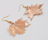 Real Leaf Hook Drop EARRINGS Sugar Maple in Rose Gold Genuine Leaf