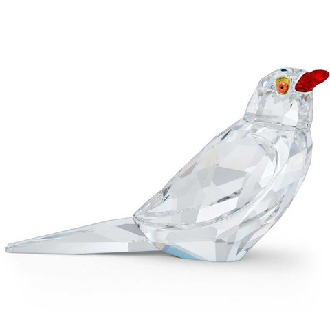 Swarovski Oxpecker Kali Bird Figurine- SCS Event Piece 2021 - 5557831