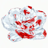Swarovski Crystal Flower Figurine In The Secret Garden ROSE -5249251