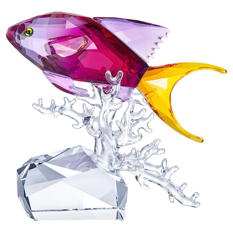 Swarovski Crystal Figurine ATHIAS FISH -5494699