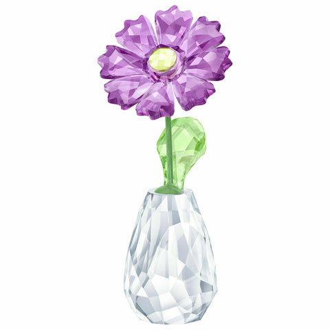 Swarovski Crystal Figurine FLOWER DREAMS - GERBERA -5439225